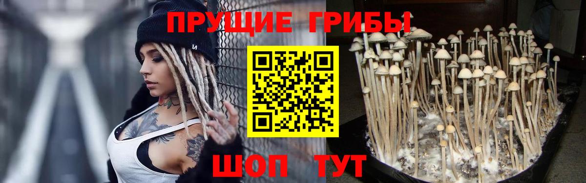 Псилоцибиновые грибы мухоморы  наркота  Копейск  Вход с VPN 